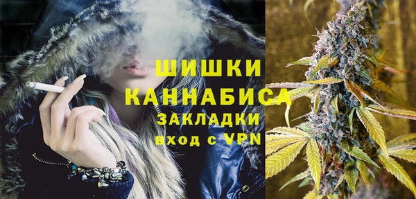 крисы Лагань