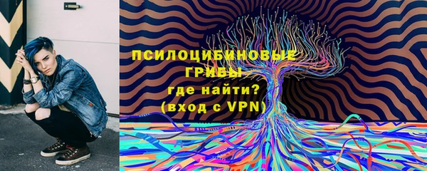 спиды Шали