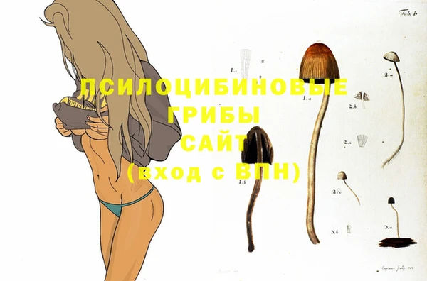 спайс Лабытнанги