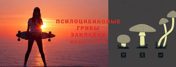 крисы Лагань