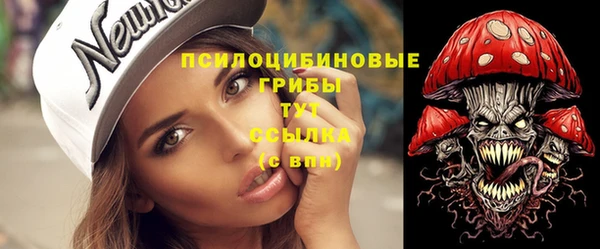 спайс Лабытнанги