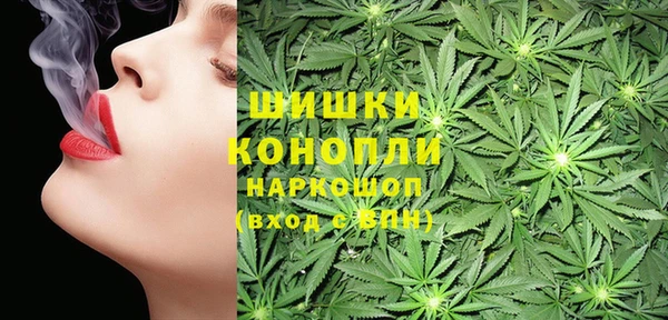 спайс Лабытнанги