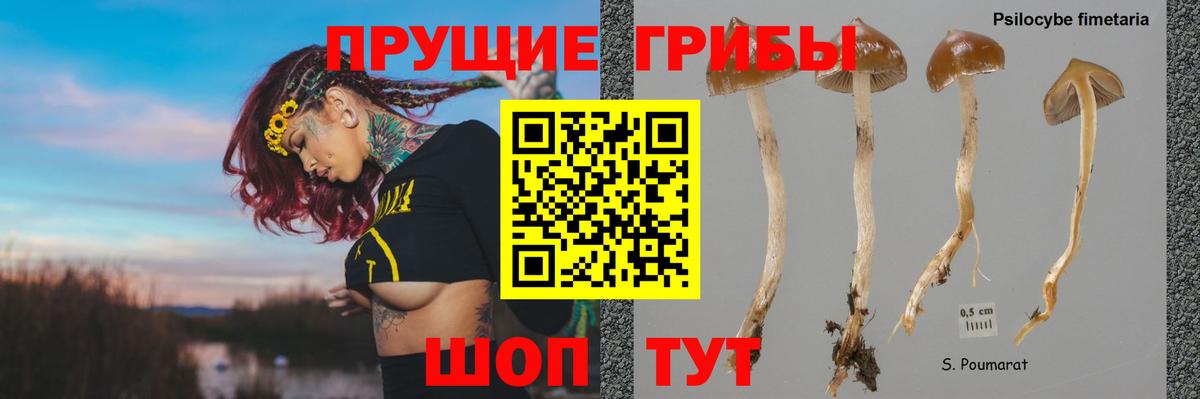 Галлюциногенные грибы GOLDEN TEACHER  Костомукша 