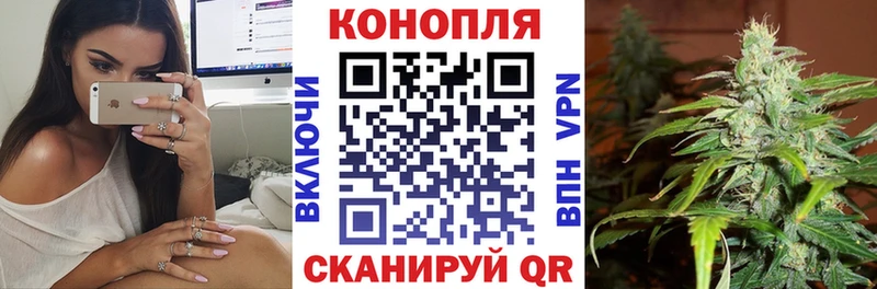 Бошки марихуана индика  где можно купить наркотик  Костомукша 